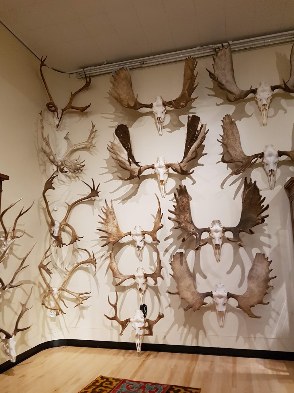 Hand of Man Museum | 6759 Considine Ave, Duncan, BC V9L 5X2, Canada | Phone: (888) 826-1011