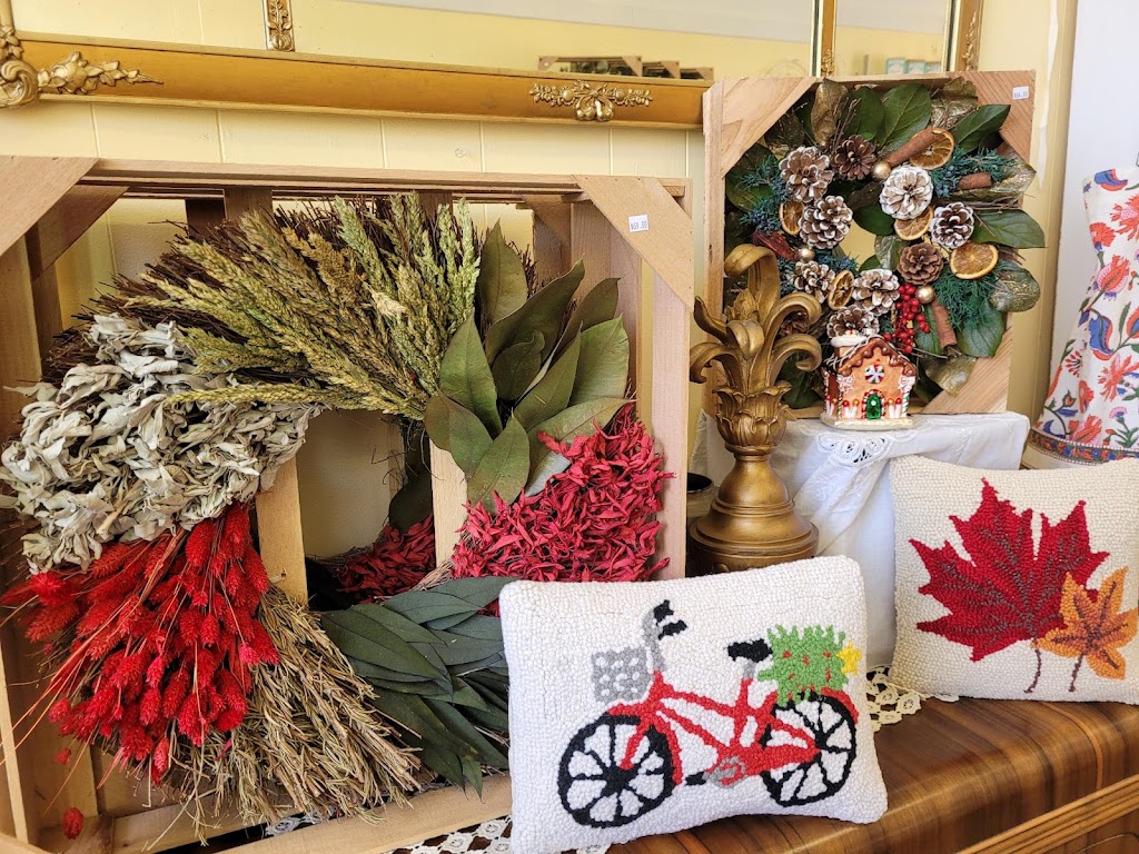 Della Bella Boutique | 250 Queen St N, Paisley, ON N0G 2N0, Canada | Phone: (519) 827-6643