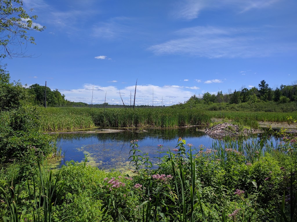 Beaver Trail | Moodie Dr, Nepean, ON K2R 1H8, Canada