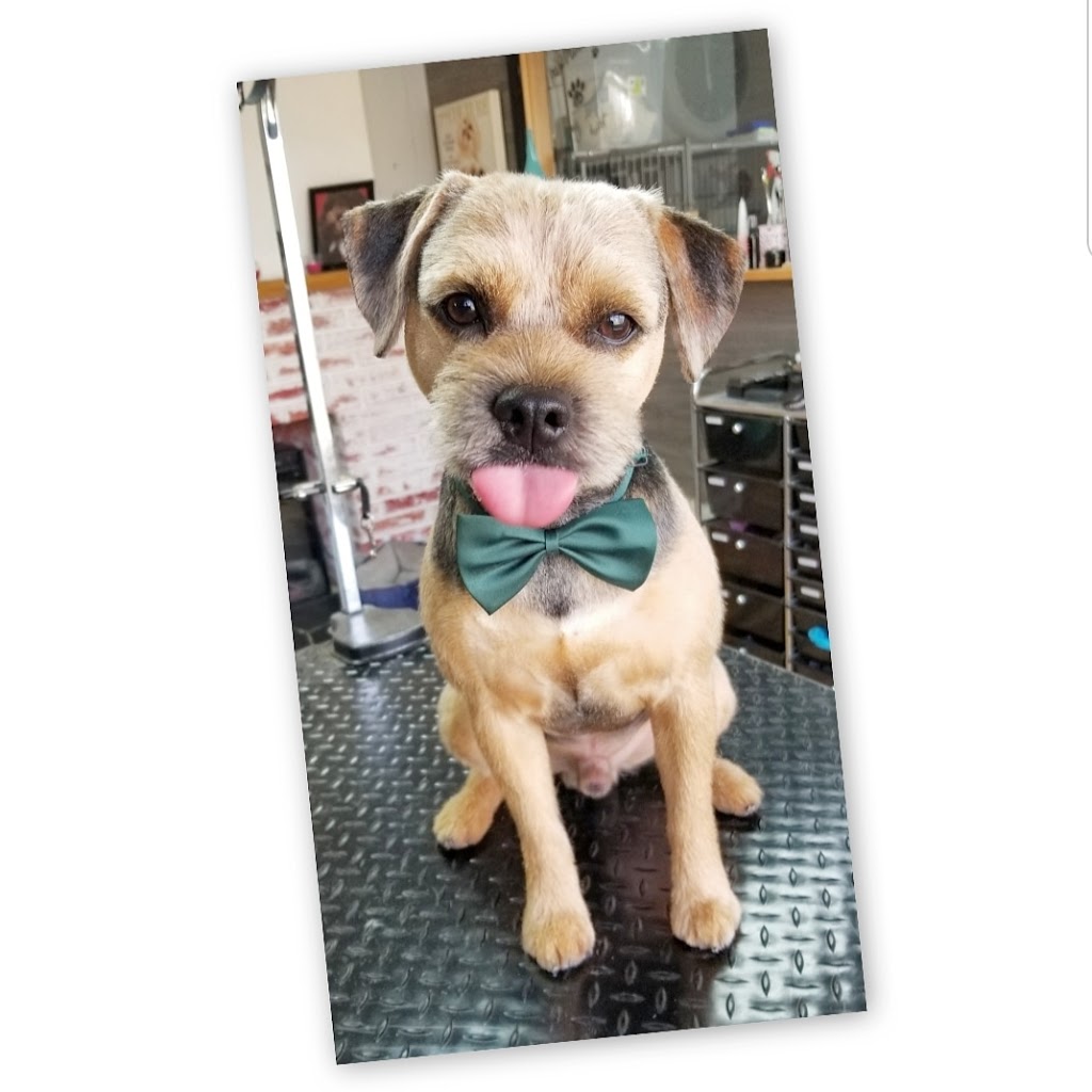 Grooms by Em | INSIDE the Laughing Llama, 3090 Trans-Canada Hwy, Mill Bay, BC V0R 2P2, Canada | Phone: (250) 510-7220