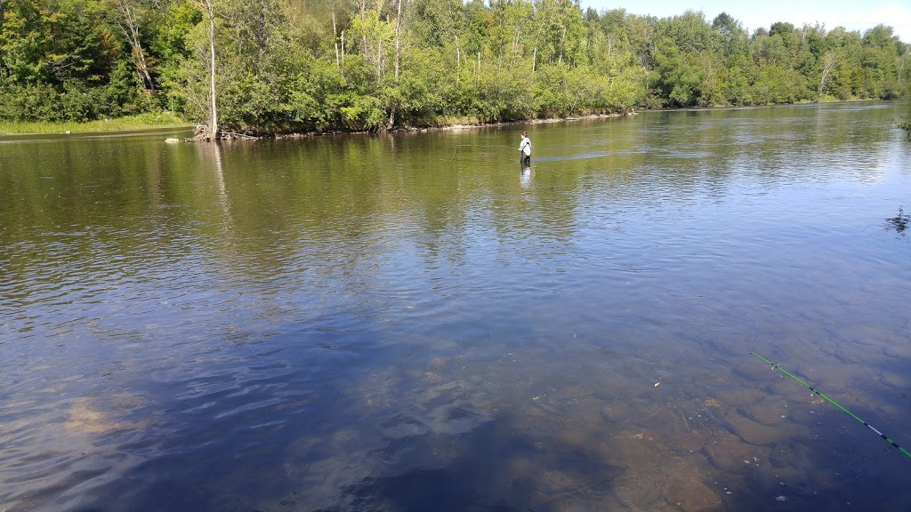 Dog Park | 3300 Rue Frédéric-Paré, Sherbrooke, QC J1K 3B9, Canada