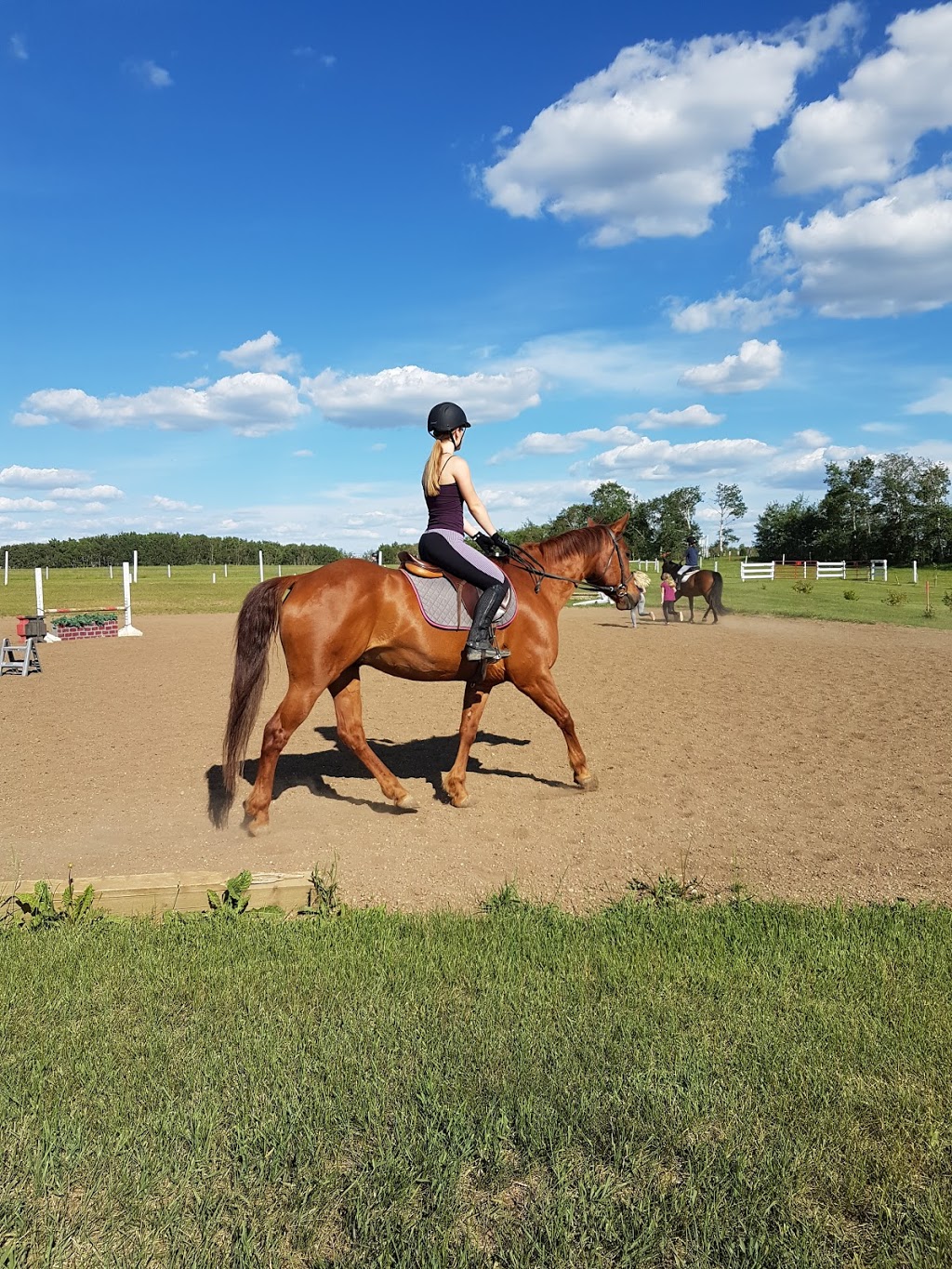 Extreme Stables | 23529 AB-605, Tees, AB T0C 2N0, Canada | Phone: (403) 783-3004