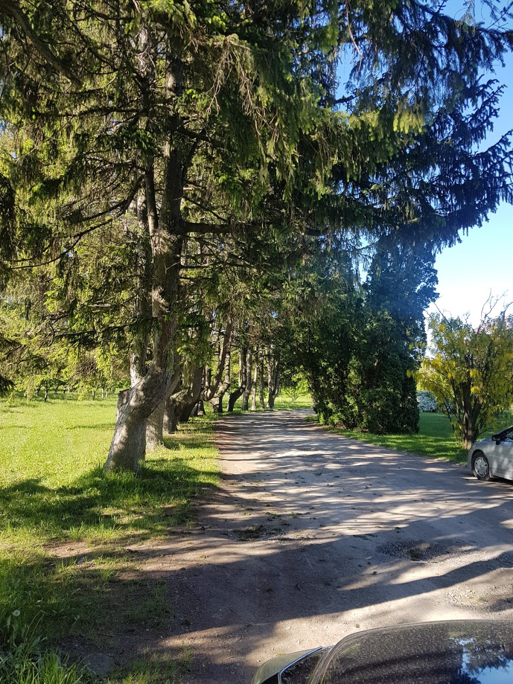 Bridgmans Farm | 20 Bridgman Ln, Stoney Creek, ON L8E 5K9, Canada | Phone: (905) 643-1506