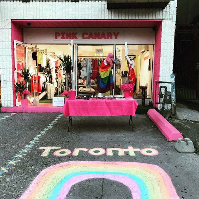 Pink Canary | 300 Borough Drive Unit CRU69, Scarborough, ON M1P 4P5, Canada | Phone: (647) 495-2479