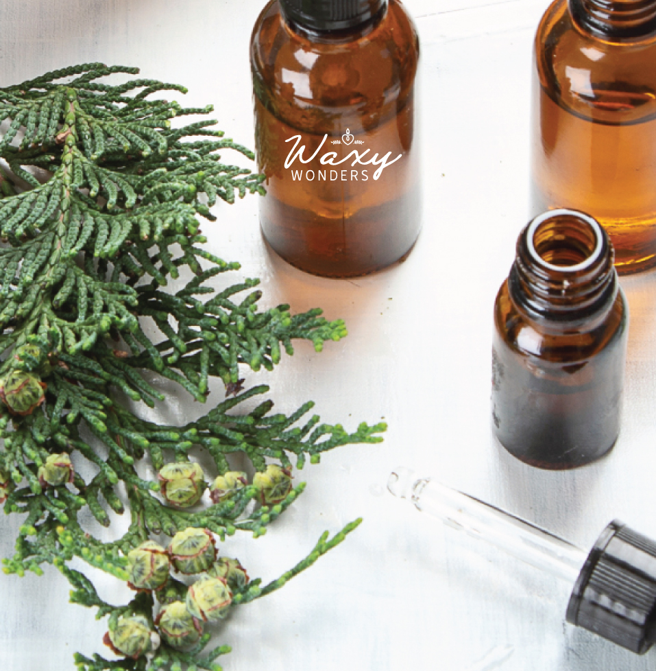 Waxy Wonders | 51 Margaret St, Angus, ON L0M 1B0, Canada | Phone: (705) 309-5532