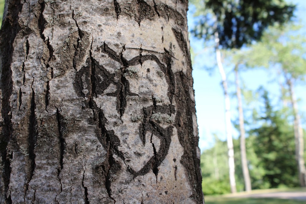 Barkwick Camp | 24423 ON-60, Madawaska, ON K0J 2C0, Canada | Phone: (613) 637-5541