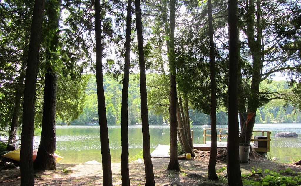 Émondage Red Ladder Tree Services Inc. | 2525 Pl. du Louvet, Saint-Lazare, QC J7T 3L7, Canada | Phone: (514) 696-5205