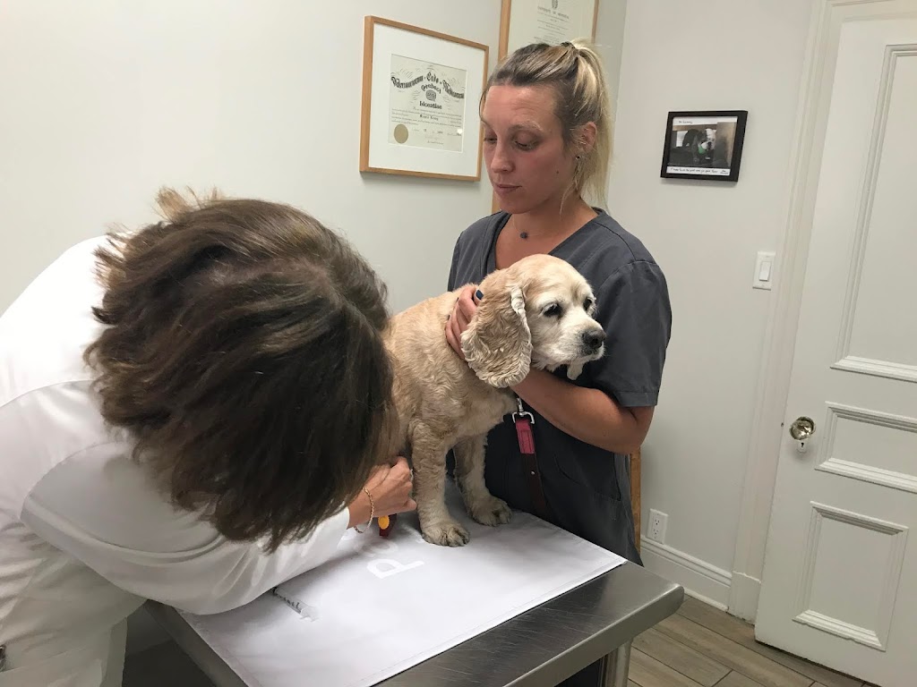 Medecin Veterinaire St-Louis | 3928 Rue St-Hubert, Montréal, QC H2L 4A5, Canada | Phone: (514) 282-1161