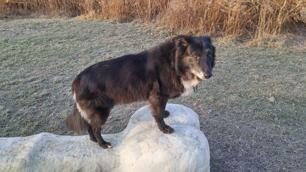 Firth Veterinary Hospital | 4499 Wellington Rd S, London, ON N6E 2Z8, Canada | Phone: (519) 681-4377