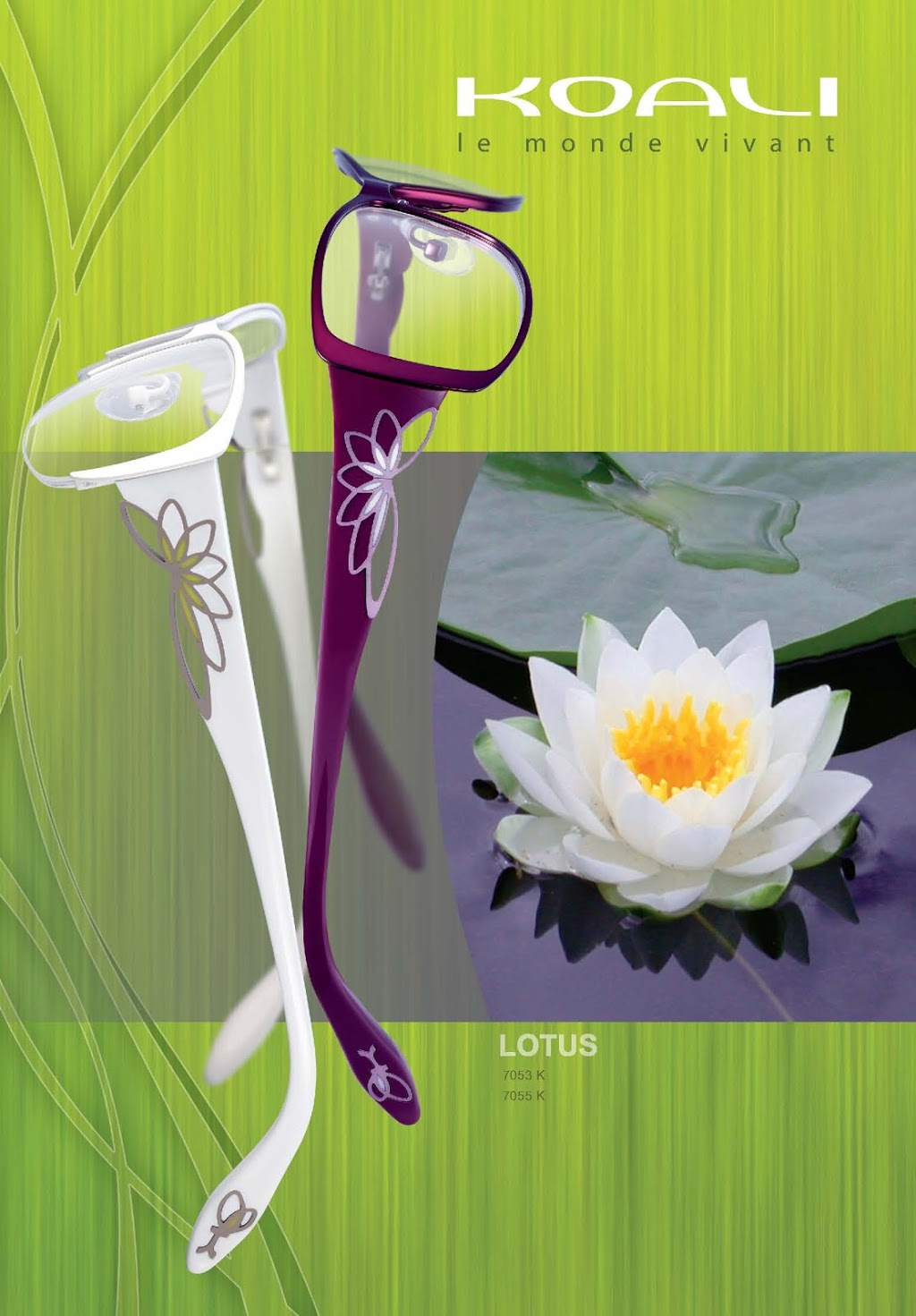 Comly Eye Care Optometry - Collingwood | 69 First St, Collingwood, ON L9Y 1A2, Canada | Phone: (705) 444-0008