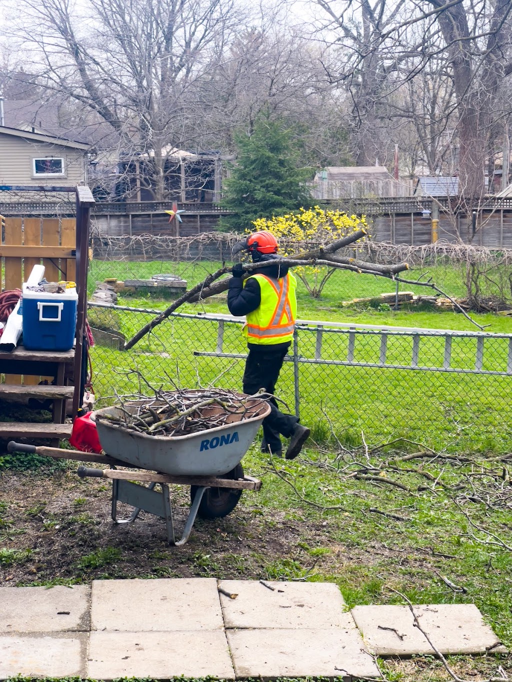 GreenCare Tree Services | 808 Courtland Ave E, Kitchener, ON N2C 1K3, Canada | Phone: (519) 329-0938