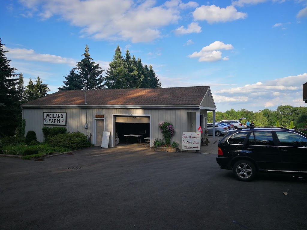 Weilands Cherry Farm | 1625 Haist St, Fonthill, ON L0S 1E0, Canada | Phone: (905) 892-3744