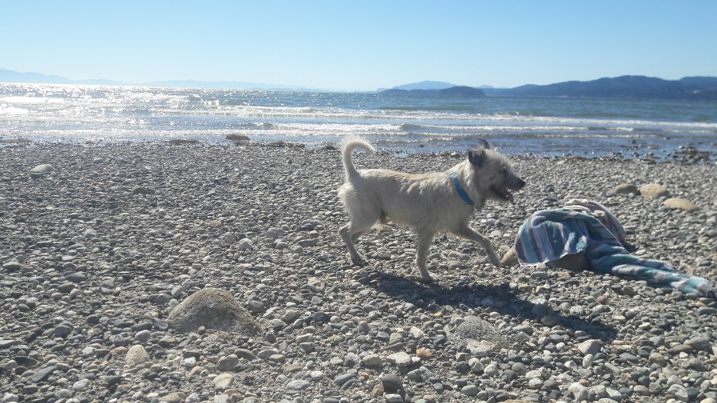 Mission Point Park | 4595 Sunshine Coast Hwy, Sechelt, BC V0N 3A1, Canada