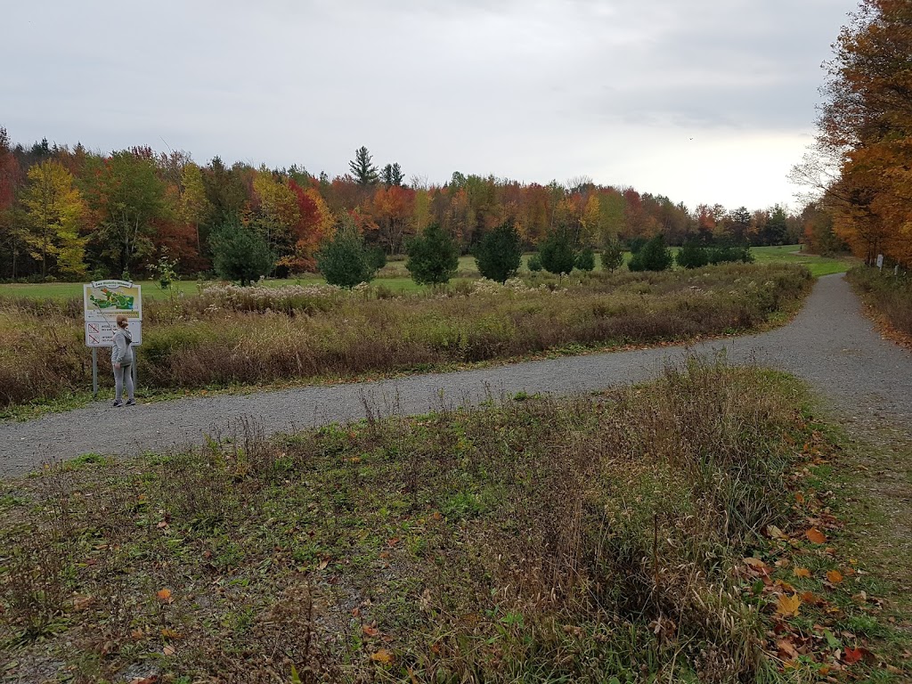 Club De Golf Miner | 30 Rue Long, Granby, QC J2G 6S8, Canada | Phone: (450) 372-4462
