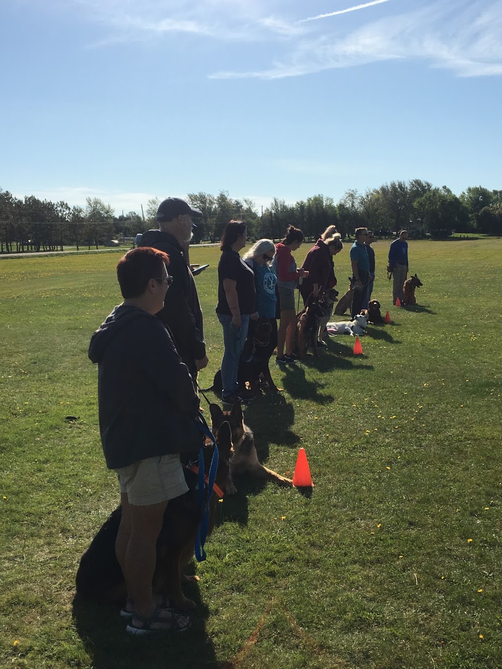 Grimmers Canine College | 59 Chemin Ohio, Shédiac, NB E4P 2J8, Canada | Phone: (506) 532-8852