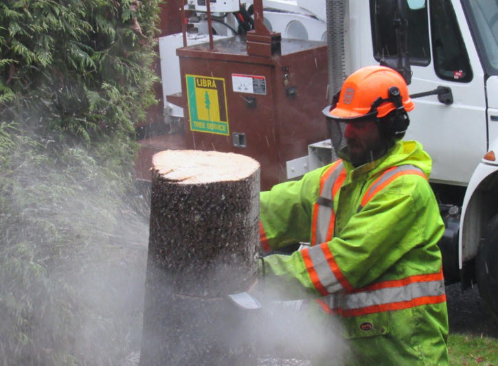 Libra Tree Services Ltd | 4945 Waters Rd, Duncan, BC V9L 6S9, Canada | Phone: (250) 748-4449
