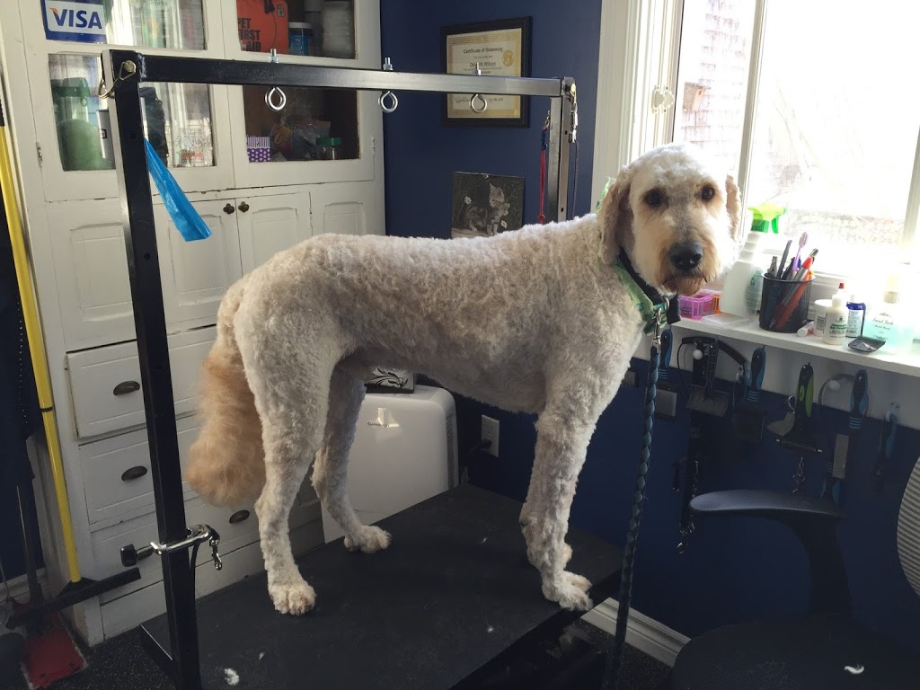 Sackville Muddy Paws Grooming Studio | 366 Main St, Sackville, NB E4L 3H6, Canada | Phone: (506) 224-0045