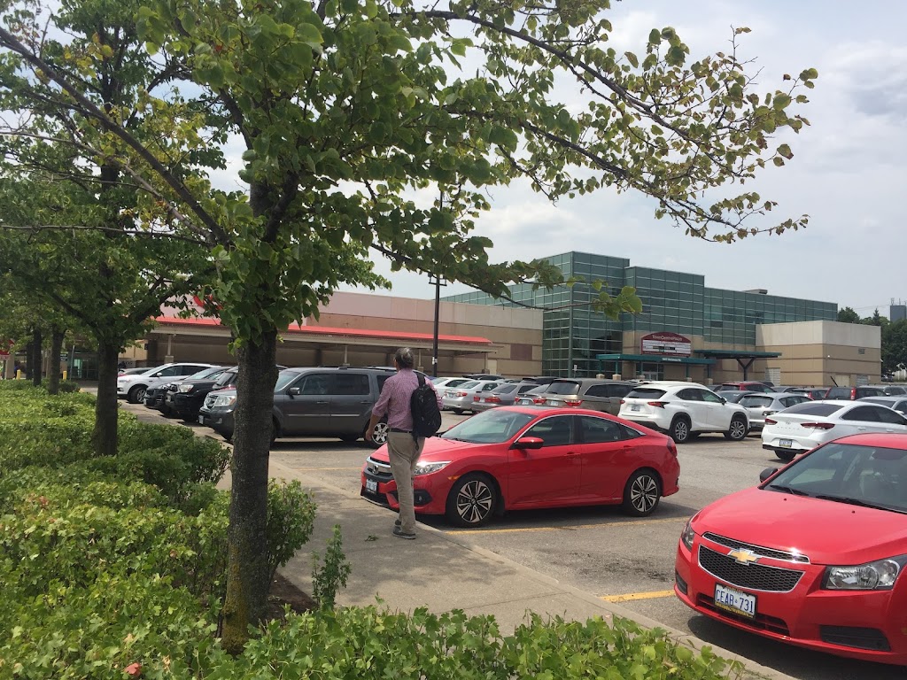 Uber Greenlight | 1457 McCowan Rd Suite 217, Toronto, ON M1S 5K7, Canada | Phone: (800) 593-7069