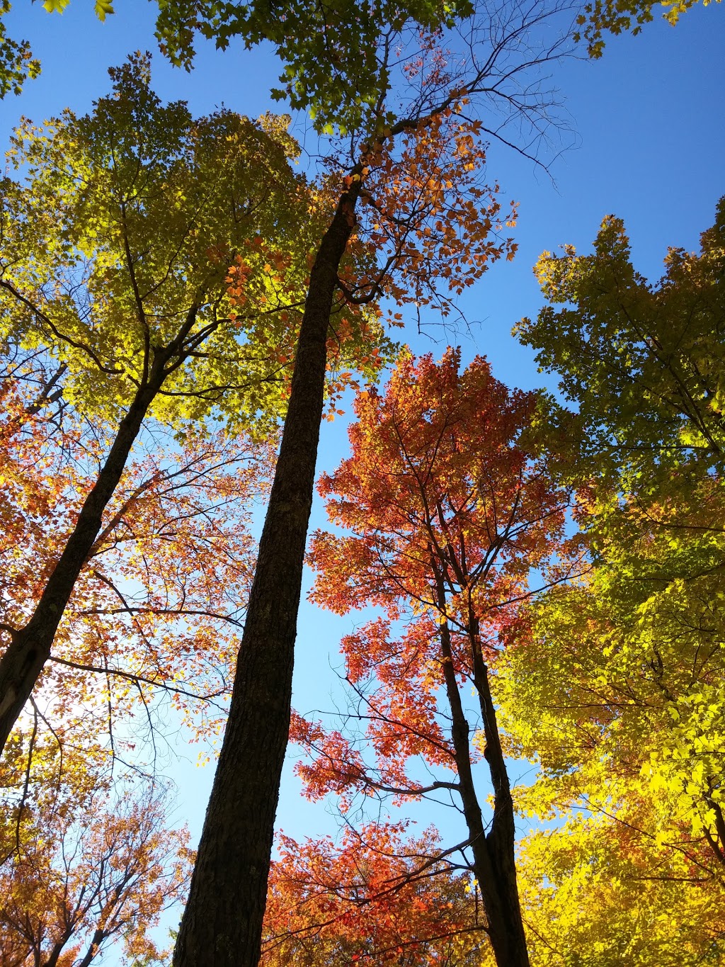 Luskville Falls Trail | Chemin de lHôtel de Ville, Luskville, QC J0X 2G0, Canada | Phone: (819) 827-2020