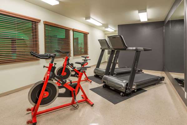 Super 8 by Wyndham Quebec City | 7286 Boulevard Wilfrid-Hamel, Québec, QC G2G 1C1, Canada | Phone: (418) 877-6888