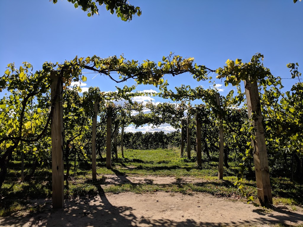 Small Talk Vineyards | 1242 Irvine Rd, Niagara-on-the-Lake, ON L0S 1J0, Canada | Phone: (905) 935-3535