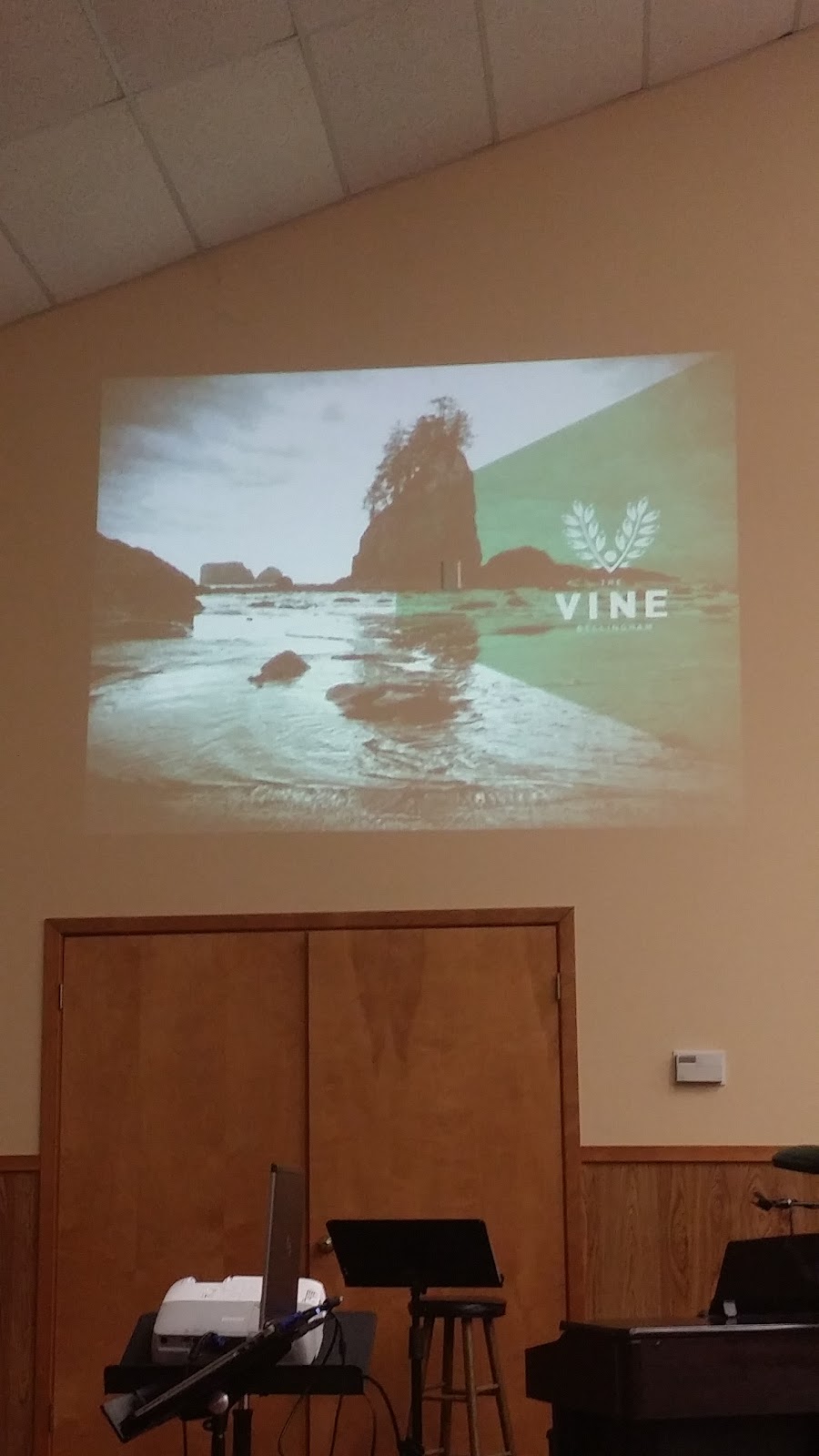 The Vine Worship Centre | 558 Sterling Dr, Bellingham, WA 98226, USA | Phone: (956) 240-7786