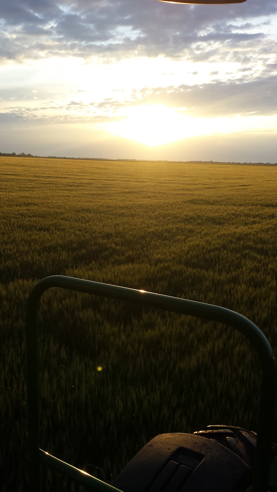 Walker Farms LTD. | 23070, RD 35N SE-30-6-4W, Carman, MB R0G 0J0, Canada | Phone: (204) 750-1841