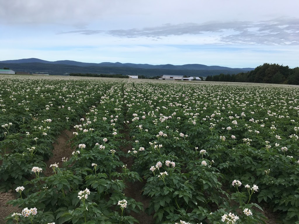Ferme Égide Létourneau inc. | 2104 Chem. Royal, Sainte-Famille, QC G0A 3P0, Canada | Phone: (418) 829-2964