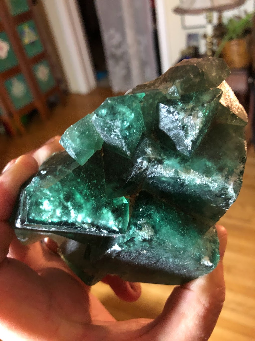 Lilli Energy Healing | 6115 1 Line, Erin, ON L0N 1N0, Canada | Phone: (519) 939-9086