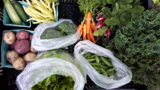 Forefathers Farm | 205 Buttermilk Hill Rd, Perth, ON K7H 3C3, Canada | Phone: (613) 227-6804