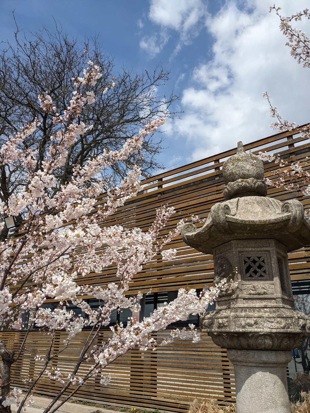 Japanese Canadian Cultural Centre | 6 Garamond Ct, North York, ON M3C 1Z5, Canada | Phone: (416) 441-2345