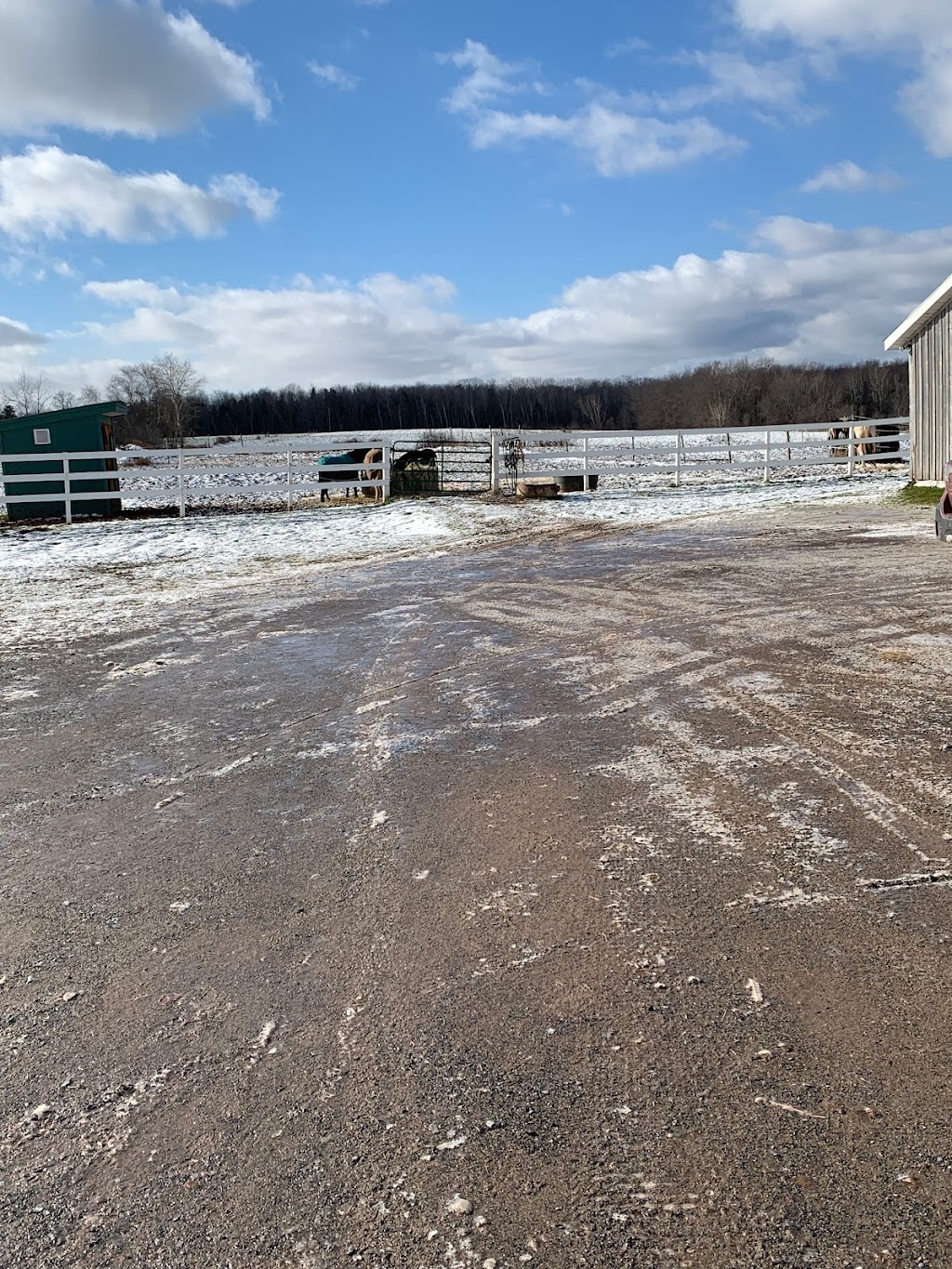Saorsa Equestrian Centre | 1575 Middle Dyke Rd, Centreville, NS B0P 1J0, Canada | Phone: (902) 698-2500