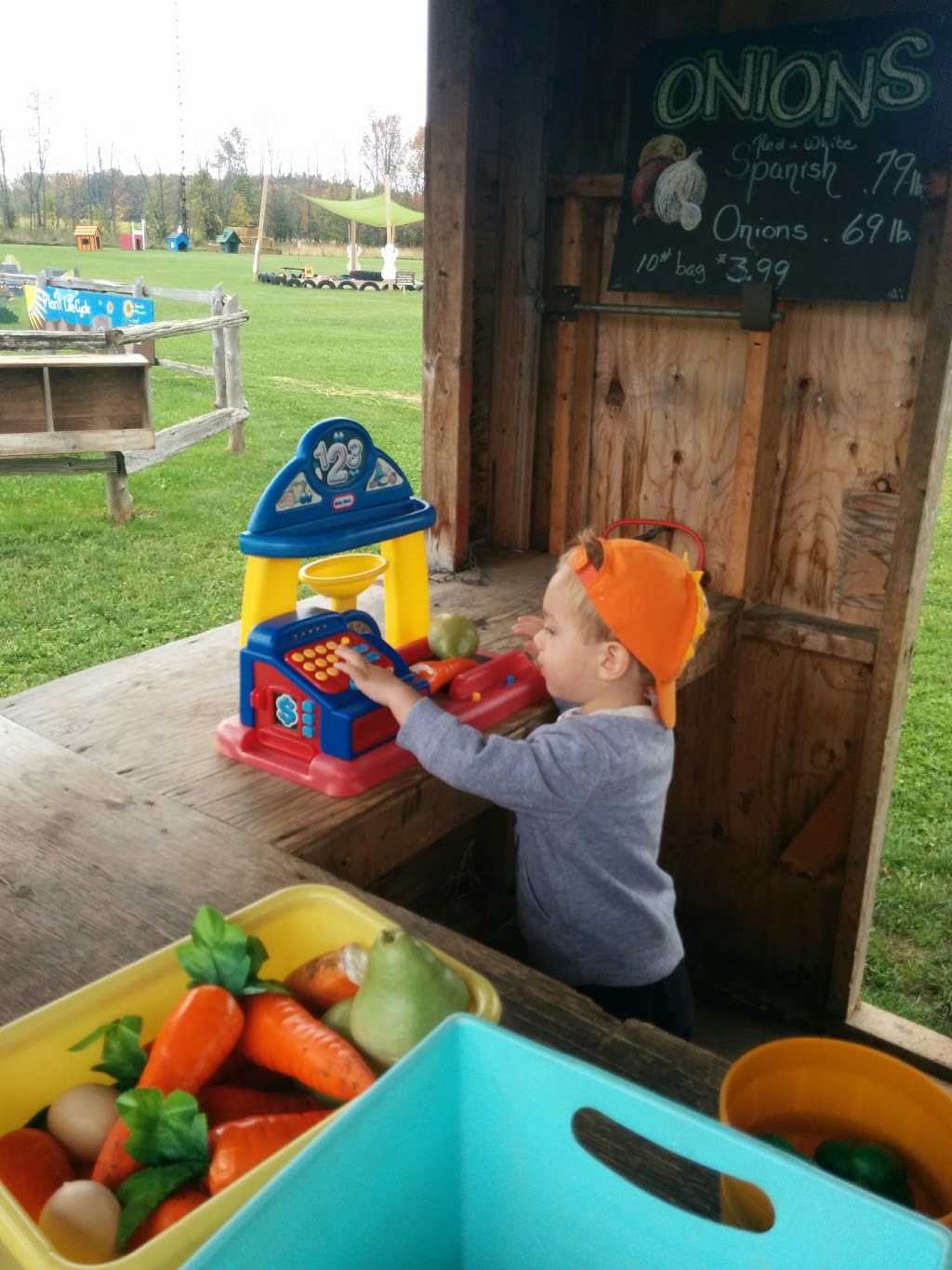 Hewitts Farm Market & Bakery | 3331 Town Line, Coldwater, ON L0K 1E0, Canada | Phone: (705) 325-3000