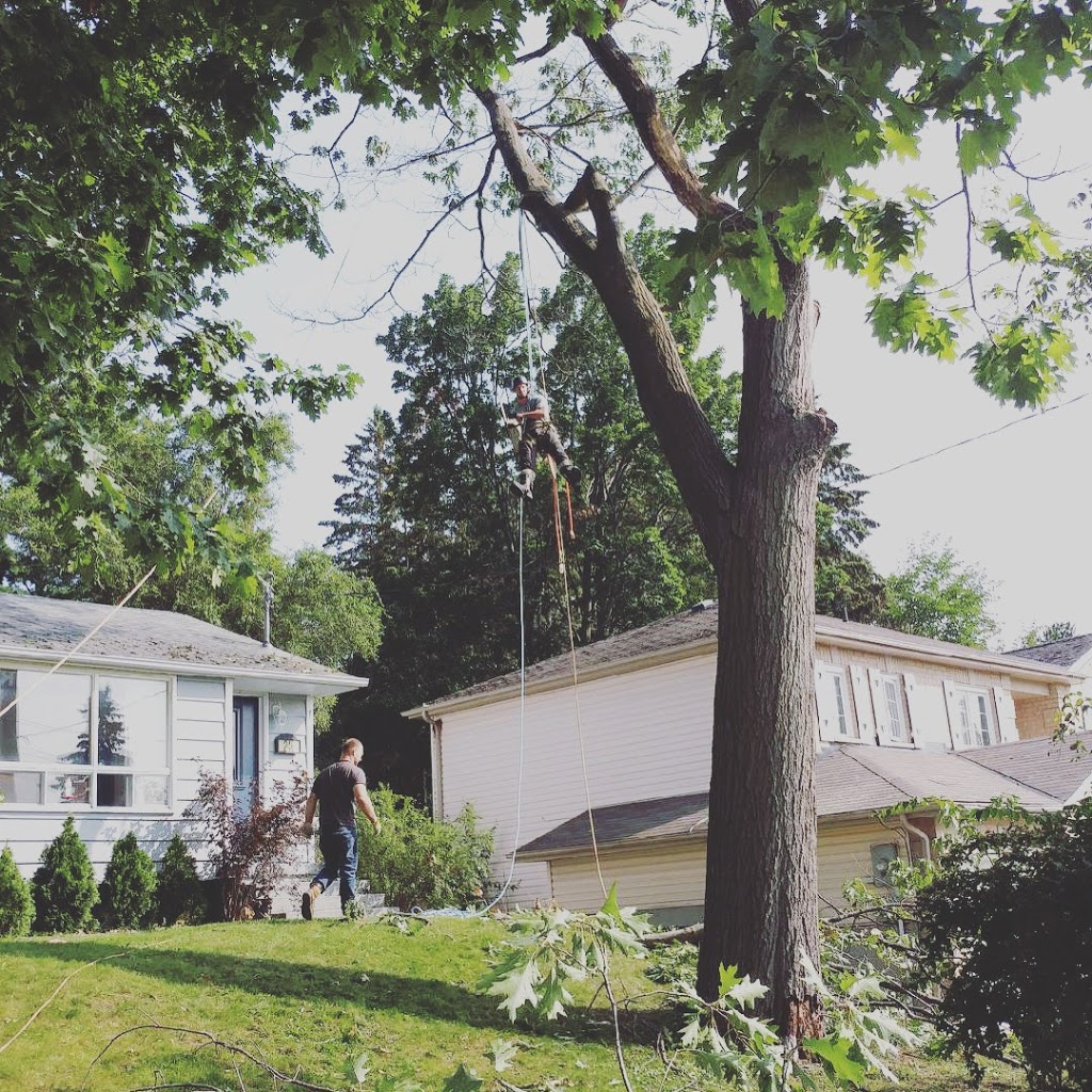 Brads Tree Service | 5413 County Rd 90, Utopia, ON L0M 1T0, Canada | Phone: (705) 607-2684