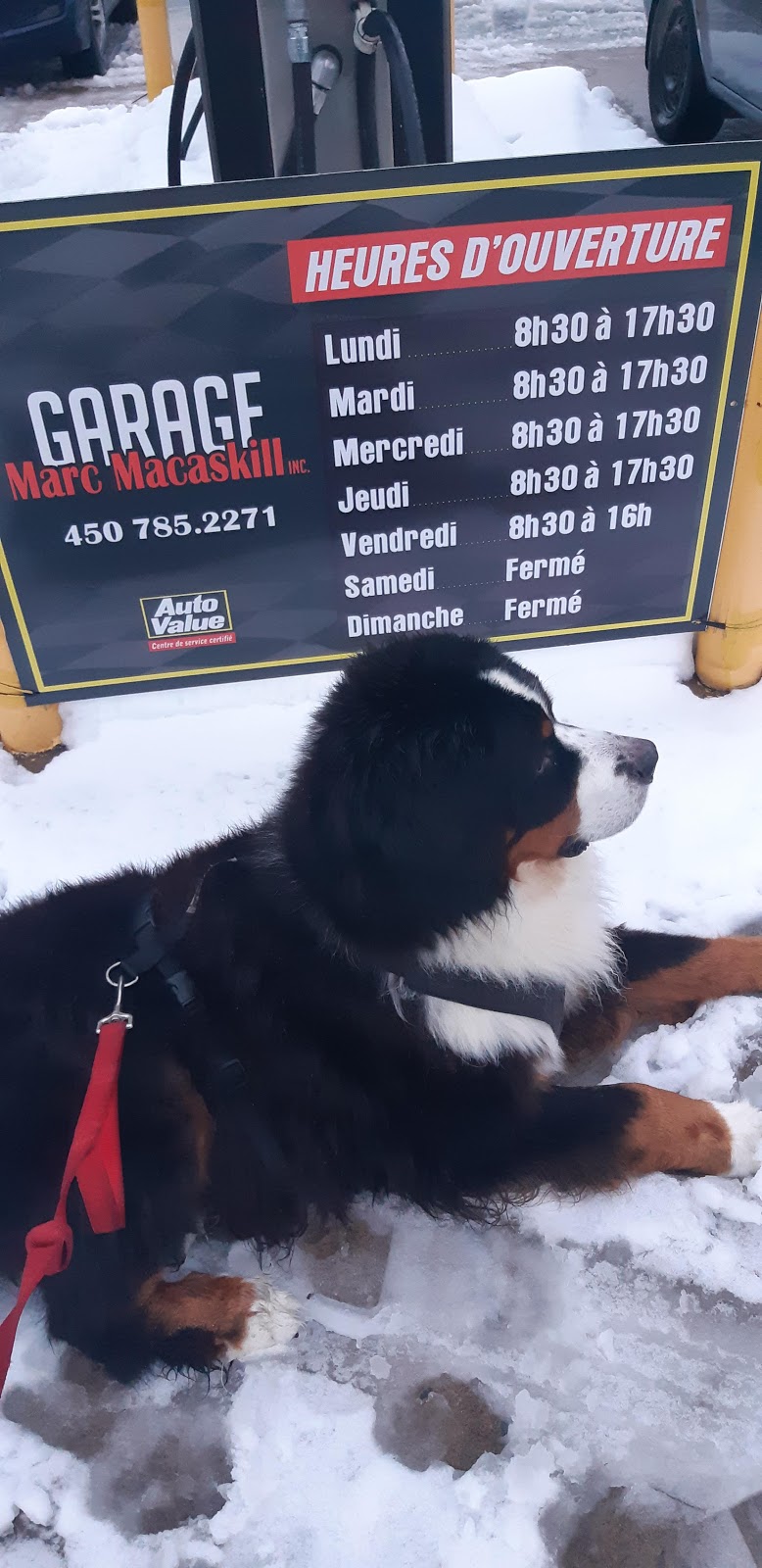 Garage Marc Mac Askill Inc | 1055 Rue Saint-Pascal, Saint-Roch-de-Richelieu, QC J0L 2M0, Canada | Phone: (450) 785-2271