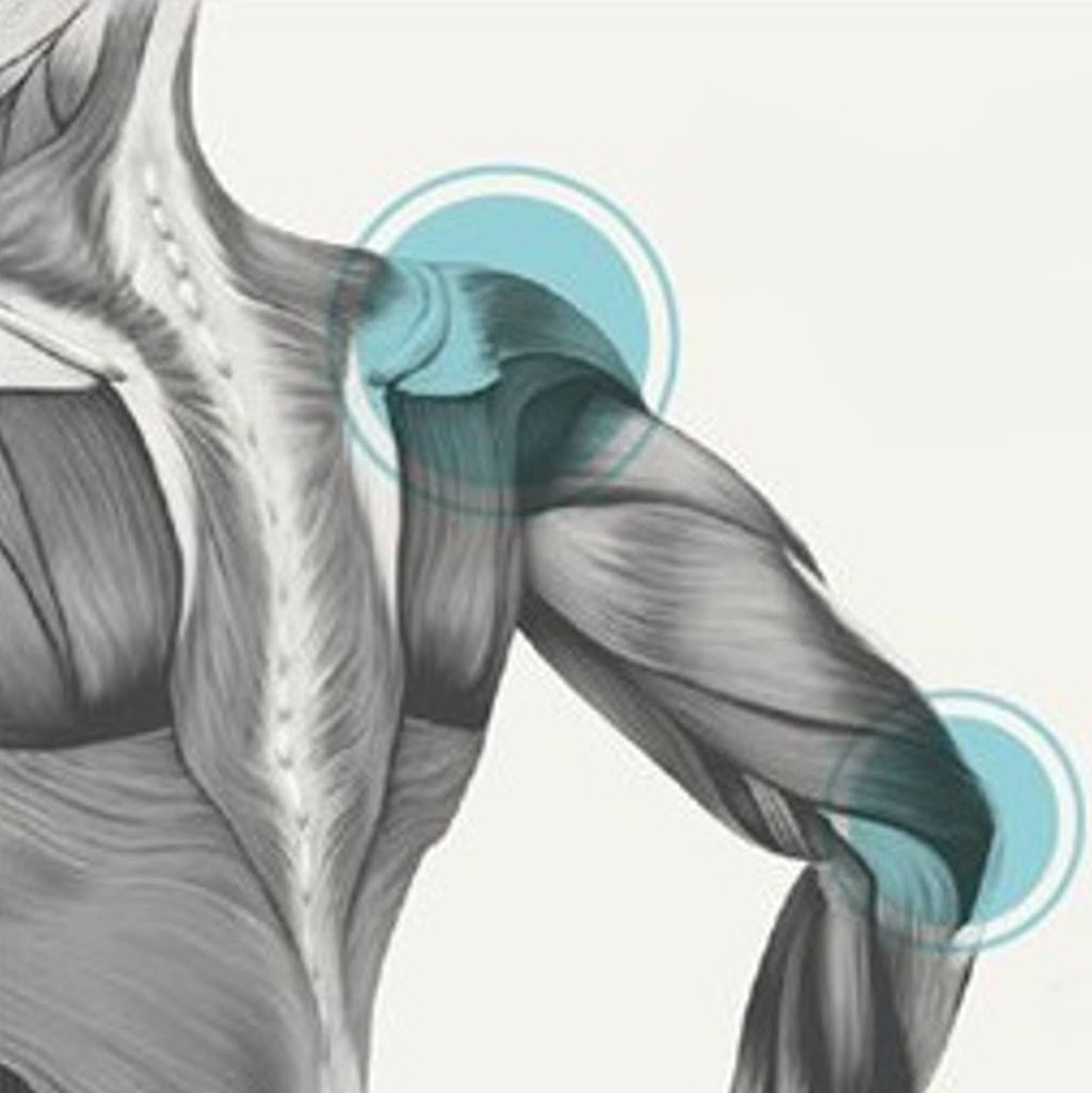 CALGARY PHYSIOTHERAPY | 208- 5401 TEMPLE DRIVE N.W., Calgary, AB T1Y 3R7, Canada | Phone: (587) 500-1202