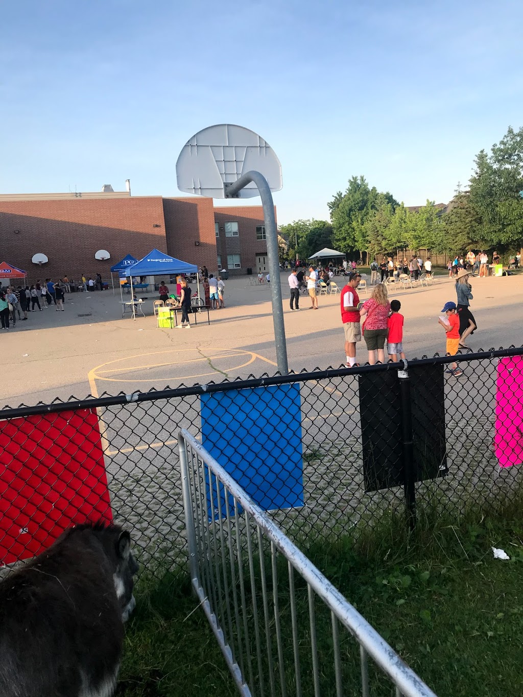 St. Luke Catholic Elementary School | 1280 Cobalt St, Mississauga, ON L5H 4L8, Canada | Phone: (905) 274-2760