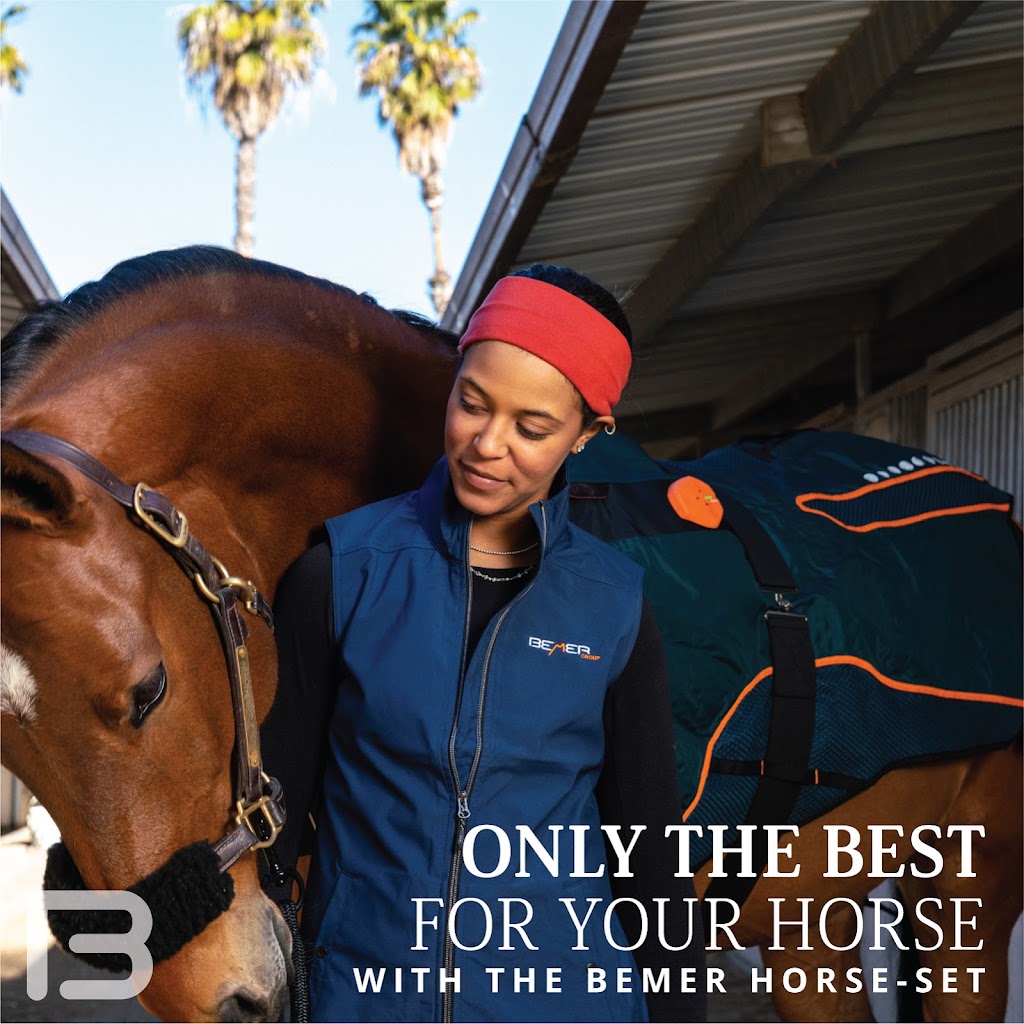 Cristina’s Equine Massage | 545 Cameron Harvey Dr, Ottawa, ON K2K 1X7, Canada | Phone: (613) 220-3239