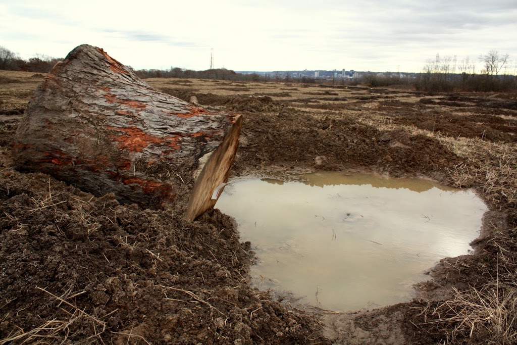 Hopkins Tract | Dundas, Hamilton, ON L9H 5X1, Canada | Phone: (905) 336-1158