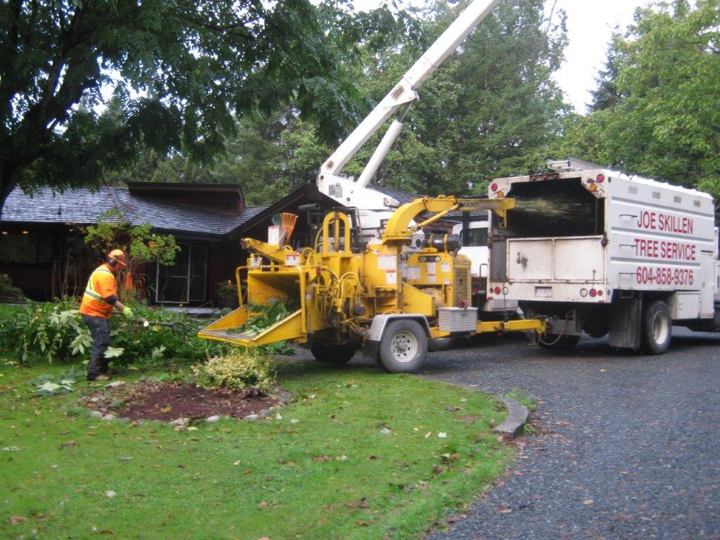 Joe Skillen Tree Services Ltd. | 42244 Yarrow Central Rd, Chilliwack, BC V2R 5H8, Canada | Phone: (604) 858-9376