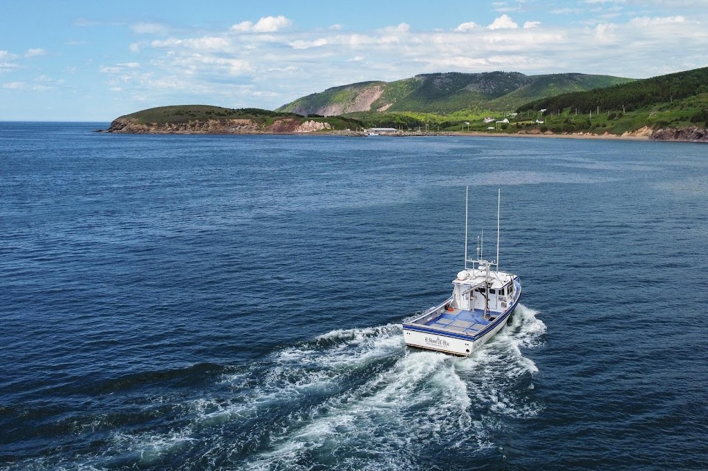 Eds Hydraulic & Marine Services | 11267 Nova Scotia Trunk 19, Mabou Station, NS B0E 1X0, Canada | Phone: (902) 945-2231