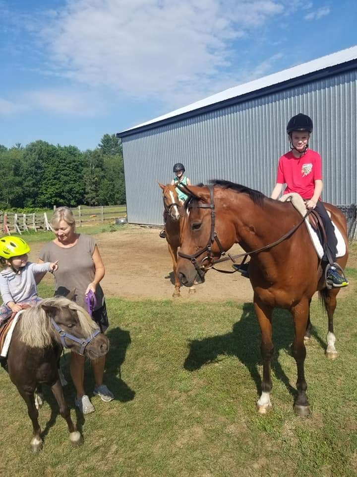 KJ Equestrian | 1326 Barkway Rd, Gravenhurst, ON P1P 1R3, Canada | Phone: (705) 645-7073