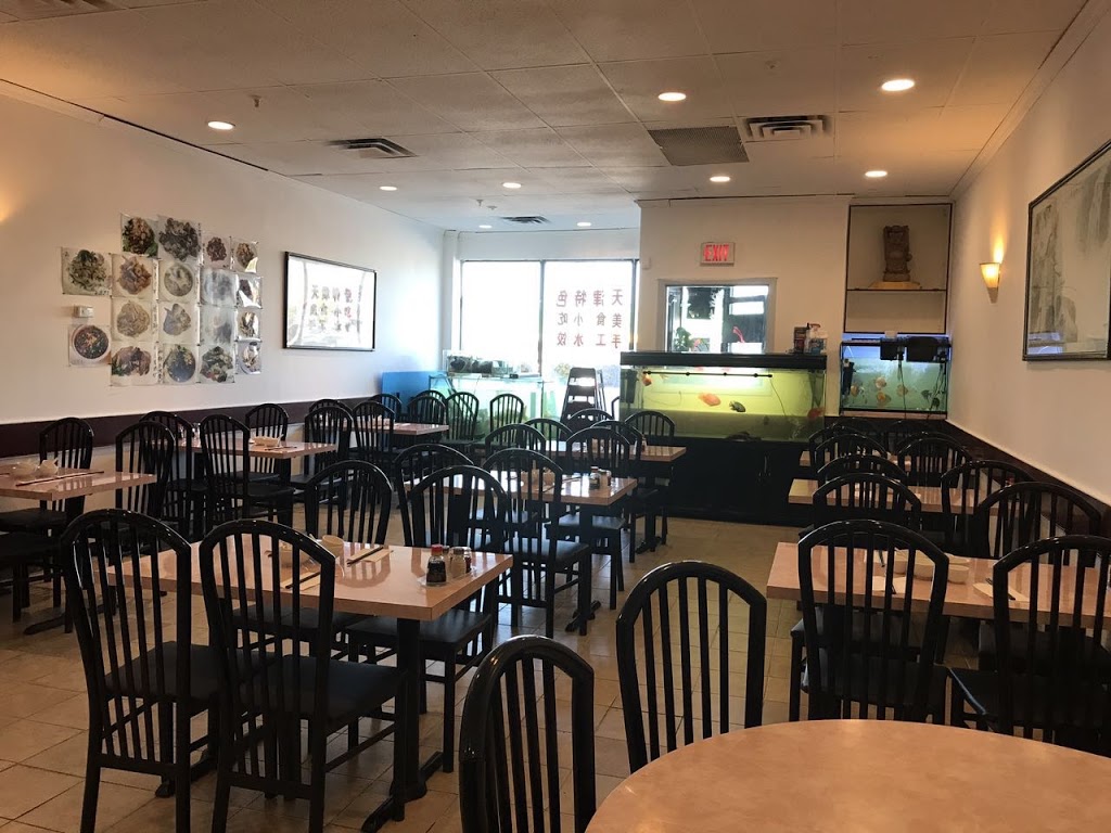 YuanYuan Restaurant | 4810 Sheppard Ave E, Scarborough, ON M1S 4N6, Canada | Phone: (416) 292-8456