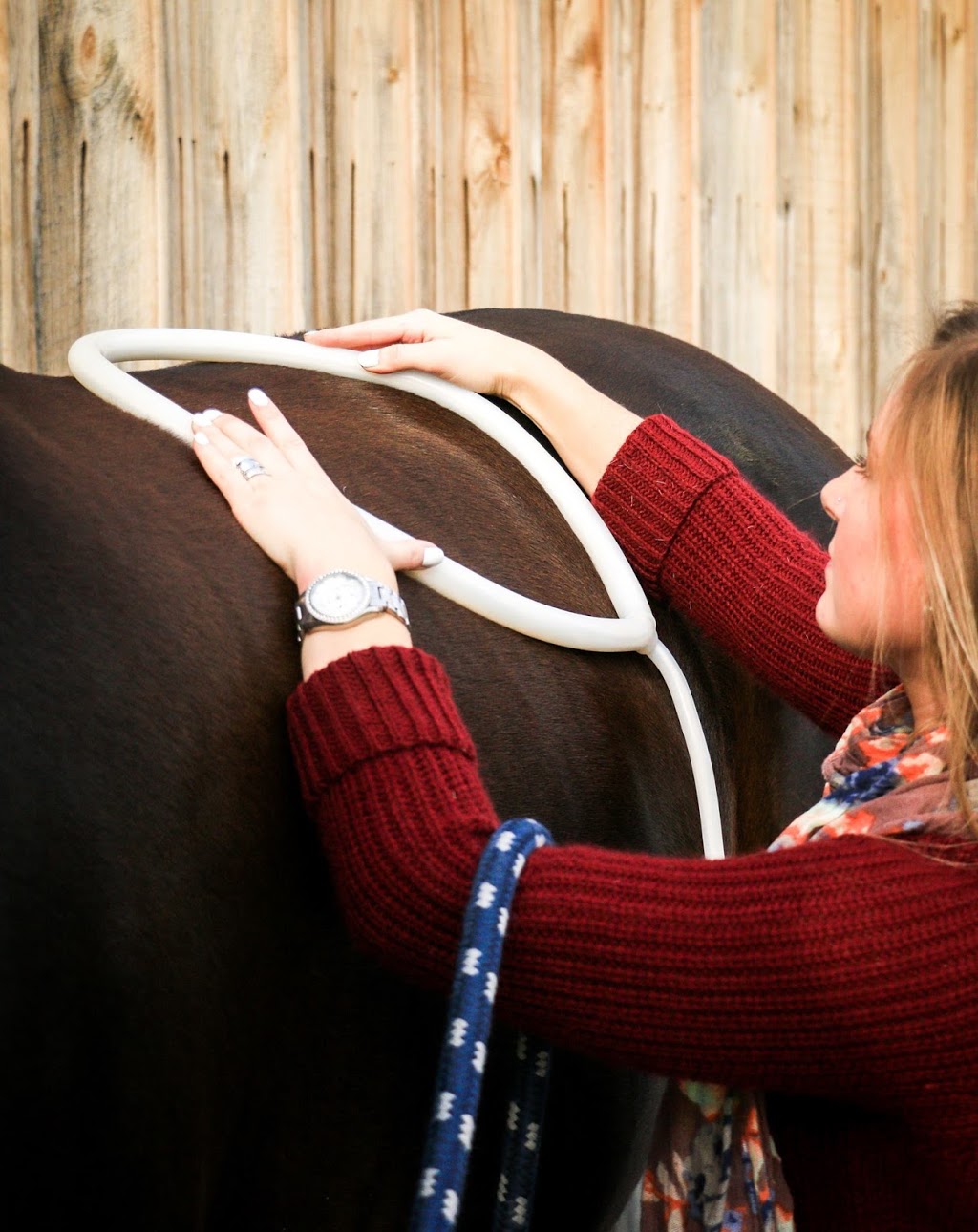 Cambrian Equestrian Centre | Windy Hill Farm, 1046 Ramsay Concession 8, Carleton Place, ON K7C 3P1, Canada | Phone: (613) 302-8821