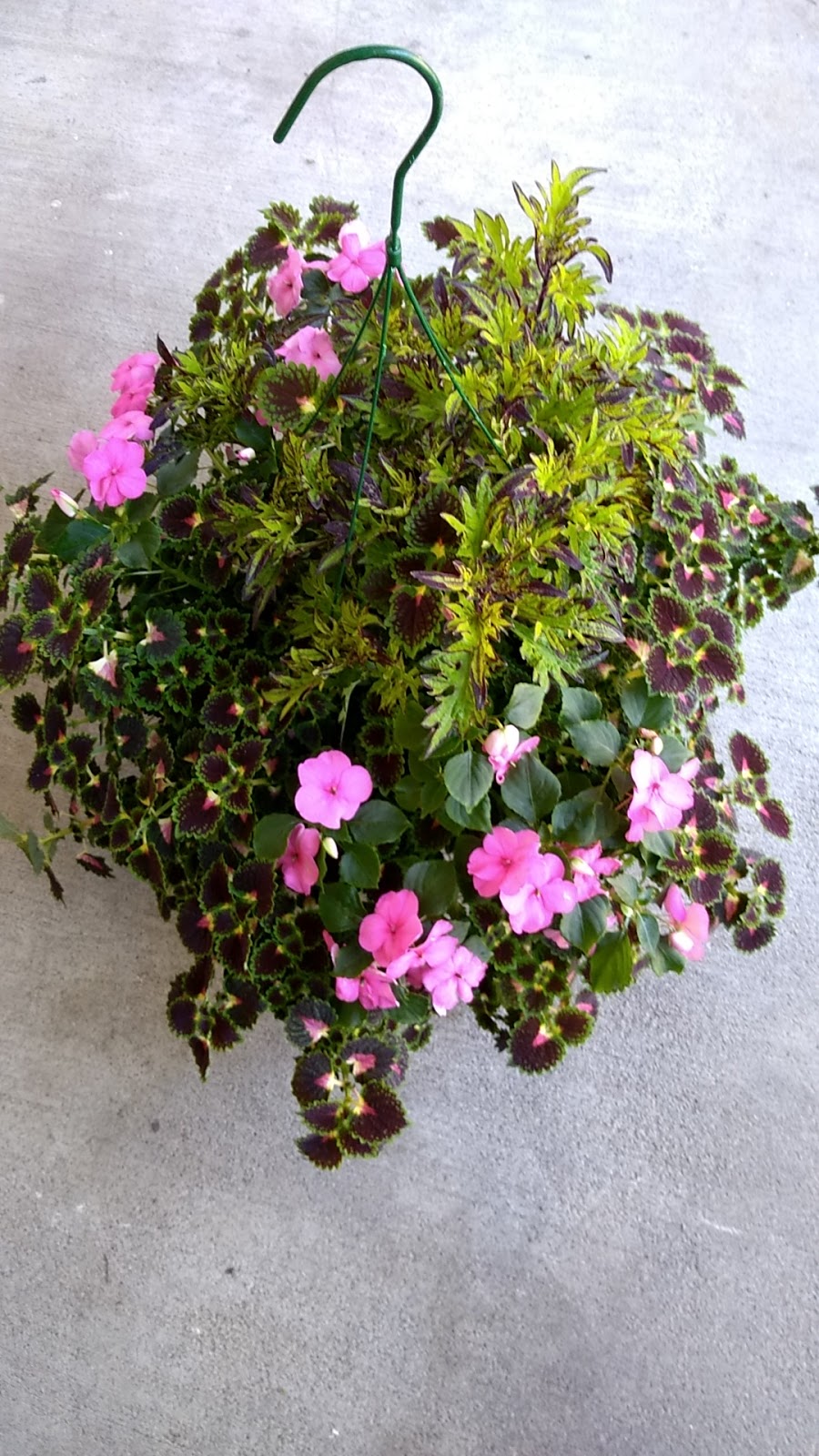 Gardens At Padden Creek | 2014 Old Fairhaven Pkwy, Bellingham, WA 98225, USA | Phone: (360) 671-0484