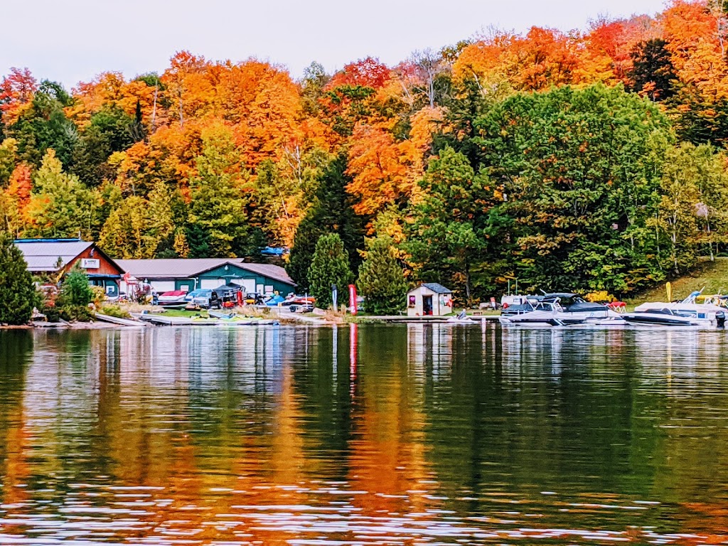 Harpers Marine | 3572 Haliburton County Rd 21, Minden, ON K0M 1S0, Canada | Phone: (705) 457-2282