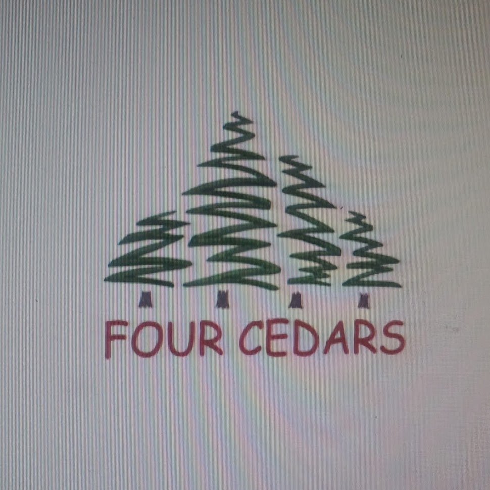 Four Cedars Cafe & Convenience | 1605 George Johnston Rd, Minesing, ON L9X 0V8, Canada | Phone: (705) 735-9484
