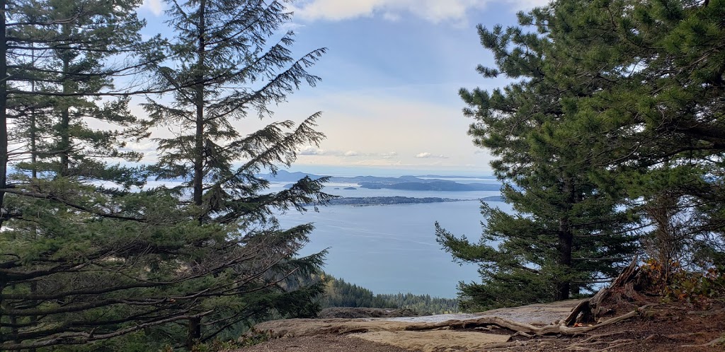 Oyster Dome | 11571 Blue Heron Rd, Bow, WA 98232, USA