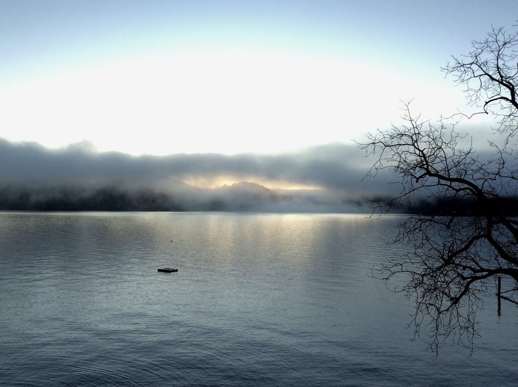 Christy Sverre Art studio/gallery | 612 Marine Dr, Gibsons, BC V0N 1V1, Canada | Phone: (604) 989-2491