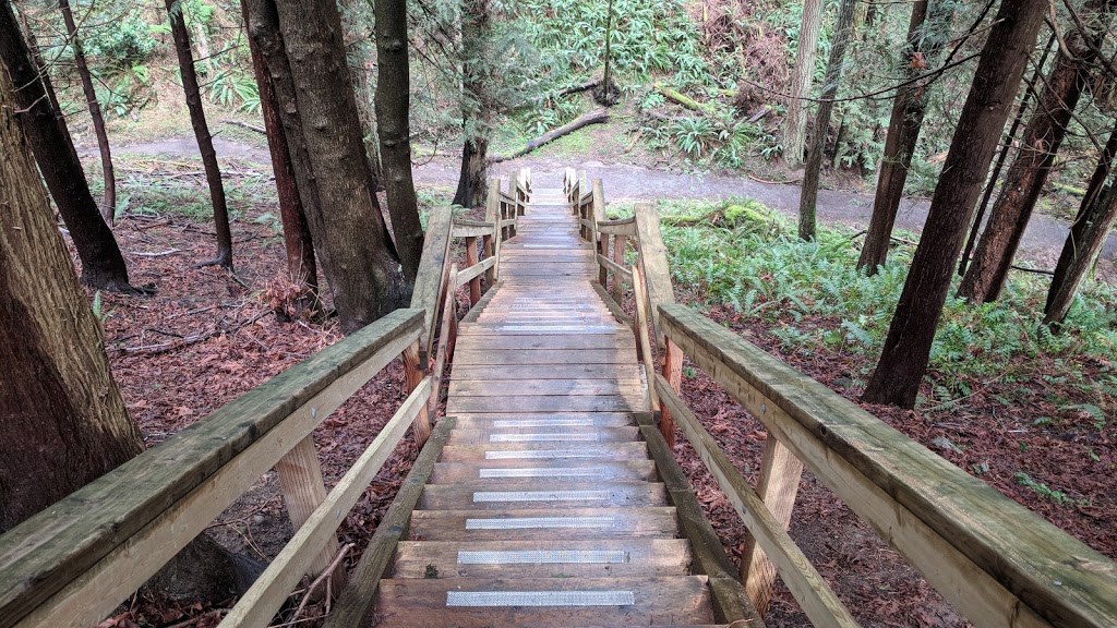 Doumac Park | Doumac Ave, Victoria, BC V8Y 2C4, Canada